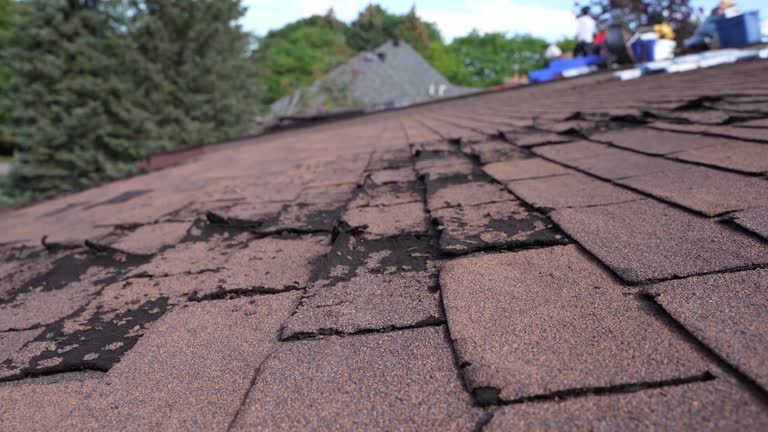 Reliable Moyie Springs, ID Roofing Service Solutions
